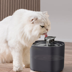 Automatic Cat Fountain